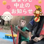 本日　2/25（水）　雨の為、猿まわし　中止します