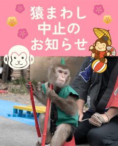 投稿についてもっと詳しく 本日　2/25（水）　雨の為、猿まわし　中止します