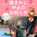 明日　3/3（火）　猿まわし　中止します