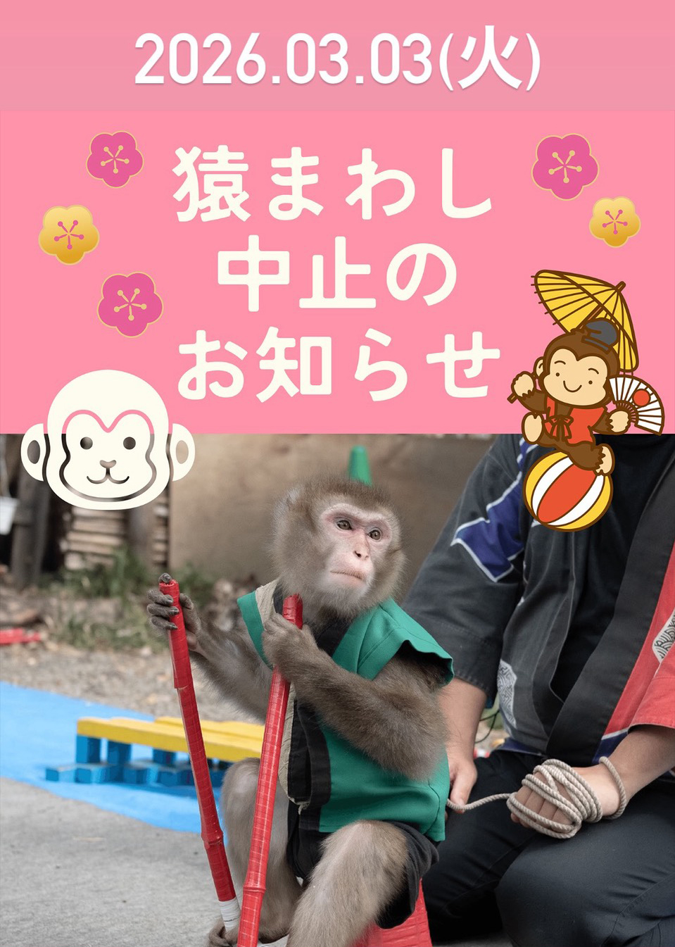 明日　3/3（火）　猿まわし　中止します